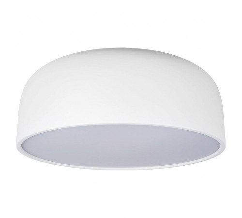 Накладной светильник Loft it 10201/480 White Axel