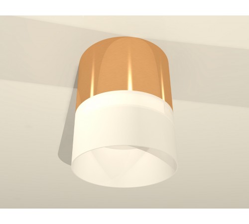 Накладной светильник Ambrella Light XS8121011 XS