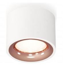 Накладной светильник Ambrella Light XS7510025 XS