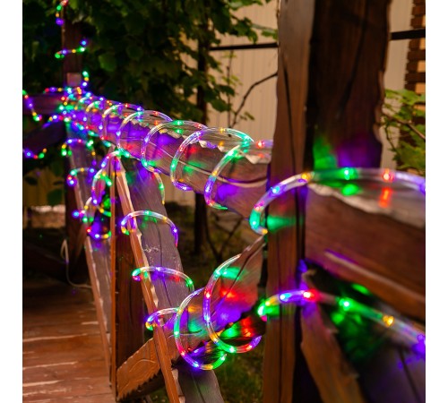 Шнур световой Uniel UL-00008574