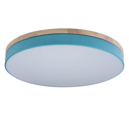 Накладной светильник Loft it 10001/36 Blue Axel