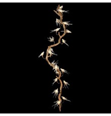 Подвесная люстра Wertmark WE183.20.503 Viviana