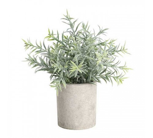 Растение в горшке (160x240) Chitose 428026