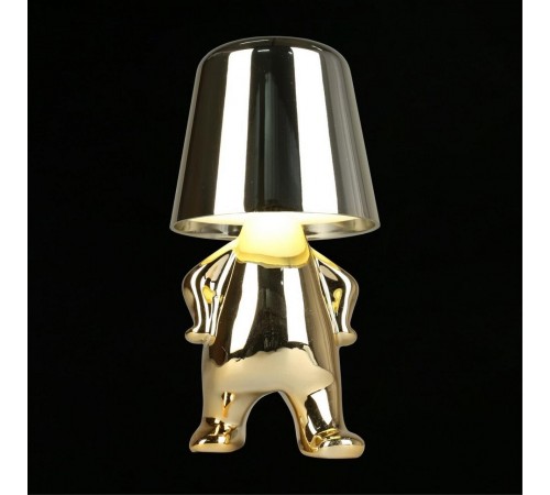 Зверь световой Aployt APL.672.04.01 Ninet