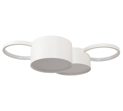 Потолочная люстра Loft it 10317/4 White Pin