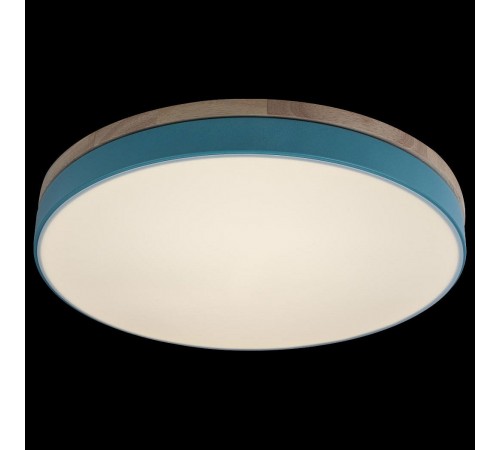 Накладной светильник Loft it 10001/36 Blue Axel