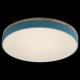 Накладной светильник Loft it 10001/36 Blue Axel