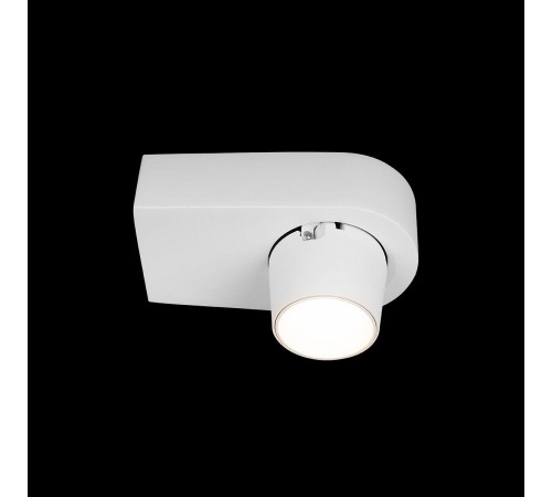 Накладной светильник Loft it 10320 White Quiet