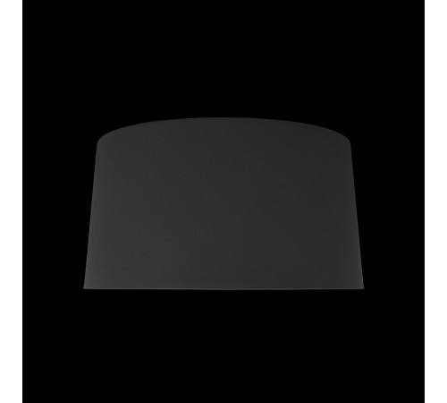 Накладной светильник Loft it 10360M Grey Duo