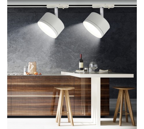 Светильник на штанге Эра TR48 - GX53 WH