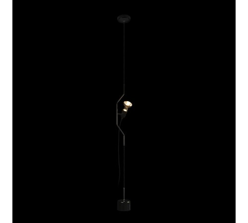 Светильник на растяжке Loft it 10346/1 Black Parentesi