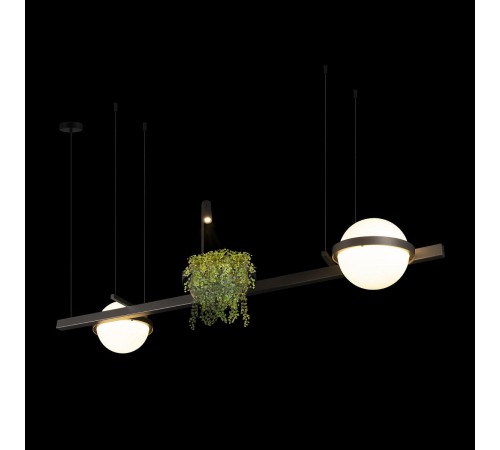 Подвесной светильник Loft it 10121/D Dark grey Jardin