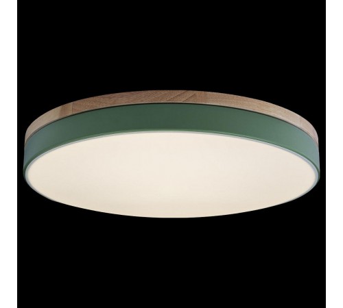 Накладной светильник Loft it 10001/36 Green Axel