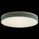 Накладной светильник Loft it 10001/36 Green Axel