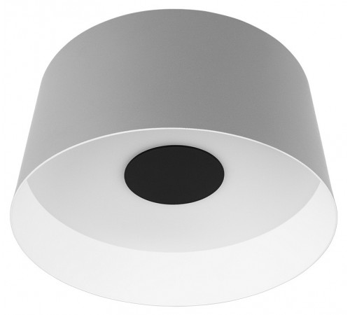 Накладной светильник Loft it 10360M Grey Duo