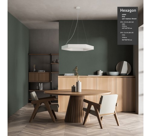 Подвесной светильник Эра Б0050556 Hexagon