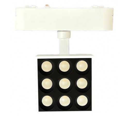 Светильник на штанге Wertmark WTH.O14.007.40.09 WTH