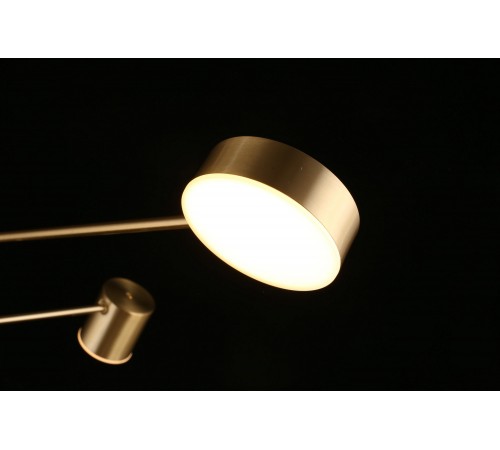 Люстра на штанге Aployt APL.017.17.48 Frania