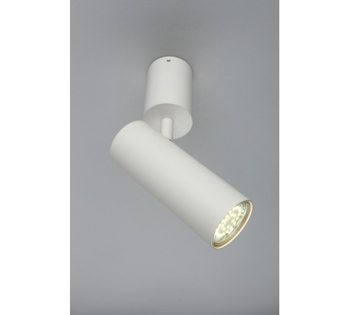 Спот Aployt APL.007.02.01 Berenis