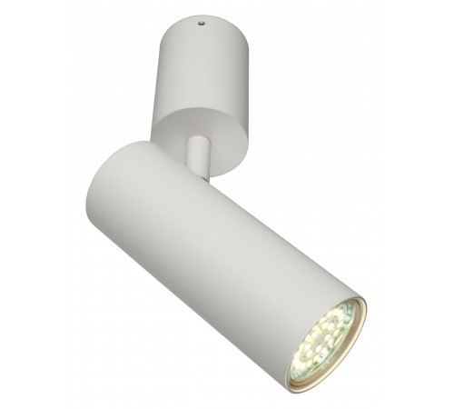 Спот Aployt APL.007.02.01 Berenis