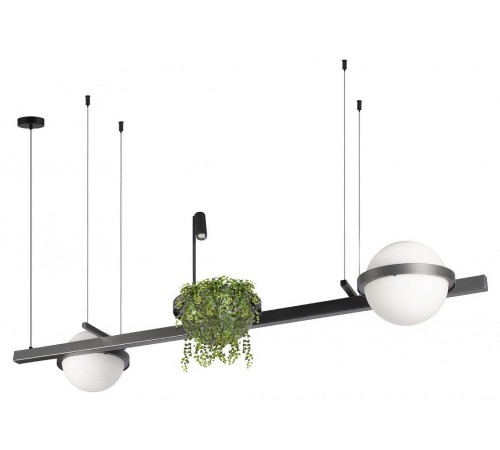 Подвесной светильник Loft it 10121/D Dark grey Jardin