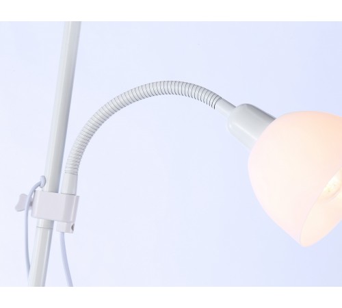 Торшер с подсветкой Ambrella Light TR97622 TR