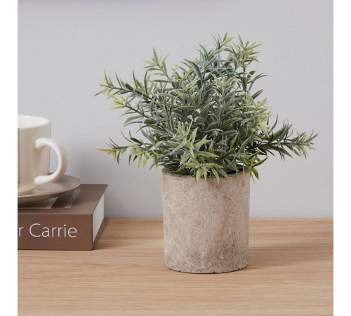 Растение в горшке (160x240) Chitose 428026