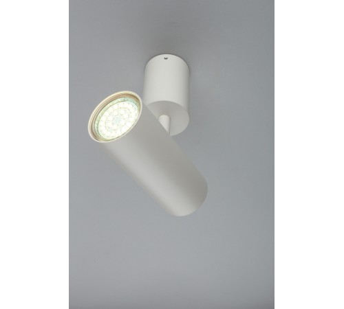 Спот Aployt APL.007.02.01 Berenis