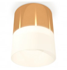 Накладной светильник Ambrella Light XS8121011 XS