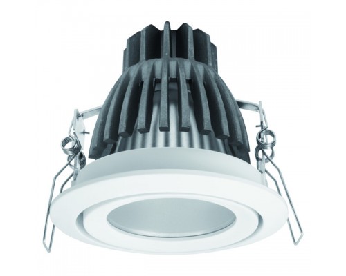 Карданный светильник Kanlux DAGO POWER LED DLP-10 8900