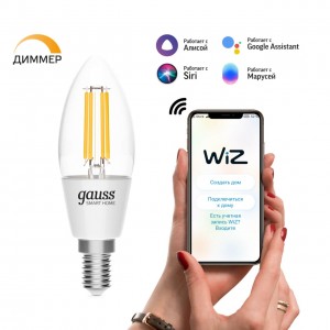 Лампа светодиодная диммируемая филаментная Gauss Smart Home Filament E14 4,5W 2700K прозрачная 1230112