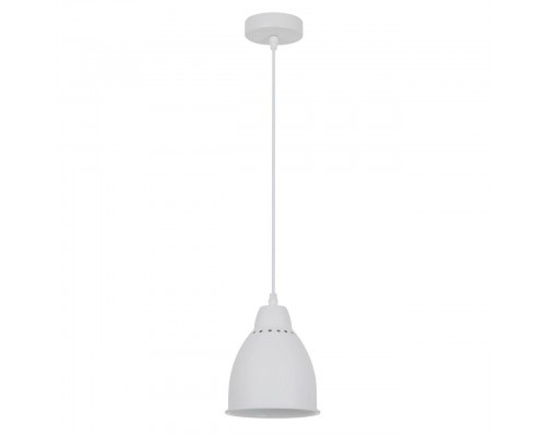 Подвесной светильник Arte Lamp Braccio A2054SP-1WH