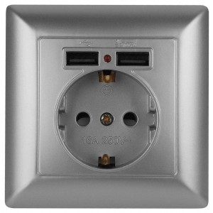 Розетка ЭРА Intro Solo Schuko P+E 16A 250V со шторками 2хUSB серебро 4-410-03 Б0043405