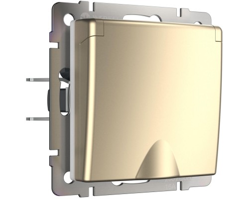 Розетка Werkel влагозащищенная с заземлением с защитой крышкой и шторками шампань W1171211 4690389157400