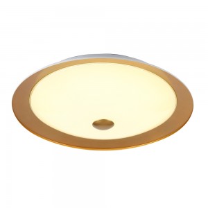 Потолочный светильник Maytoni Euler CL815-PT50-G