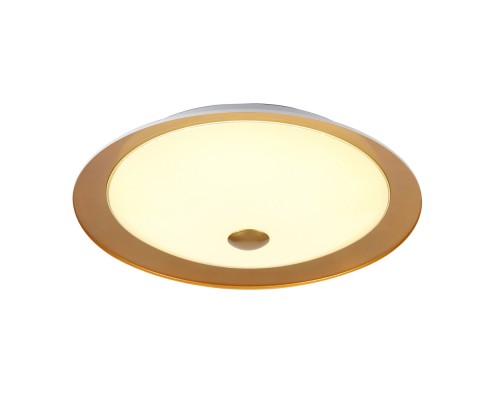 Потолочный светильник Maytoni Euler CL815-PT50-G